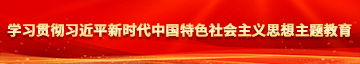 我爱日逼网学习贯彻习近平新时代中国特色社会主义思想主题教育